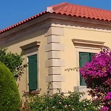 Traditional House