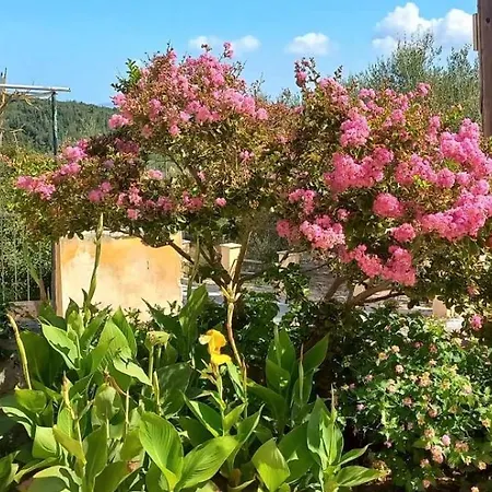 Traditional House Dhematora