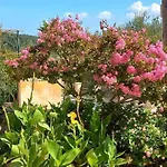 Traditional House Rifi