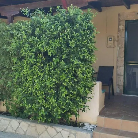 Traditional House * Dhematora